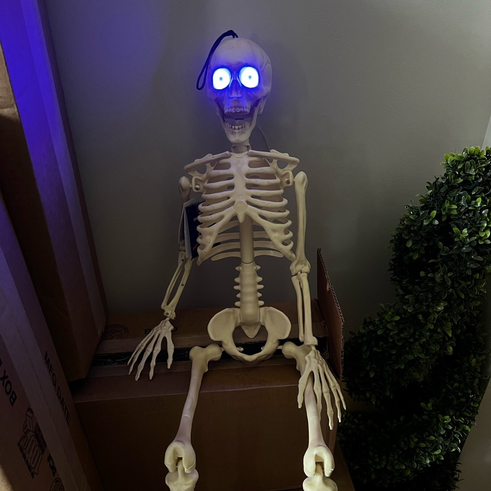 3ft skeleton with animated eyes. Big lots.